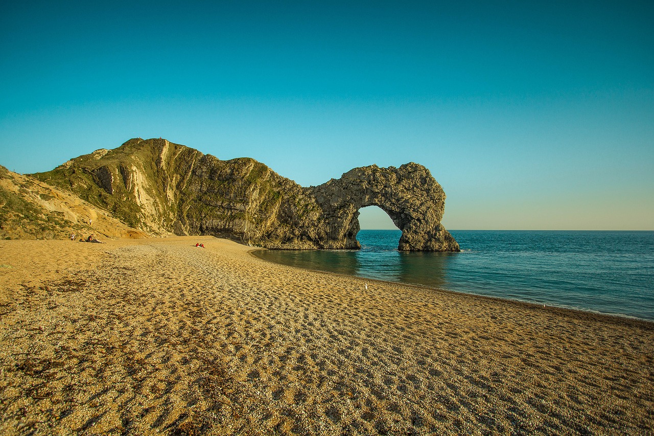 The top common Jurassic Coast fossils guide