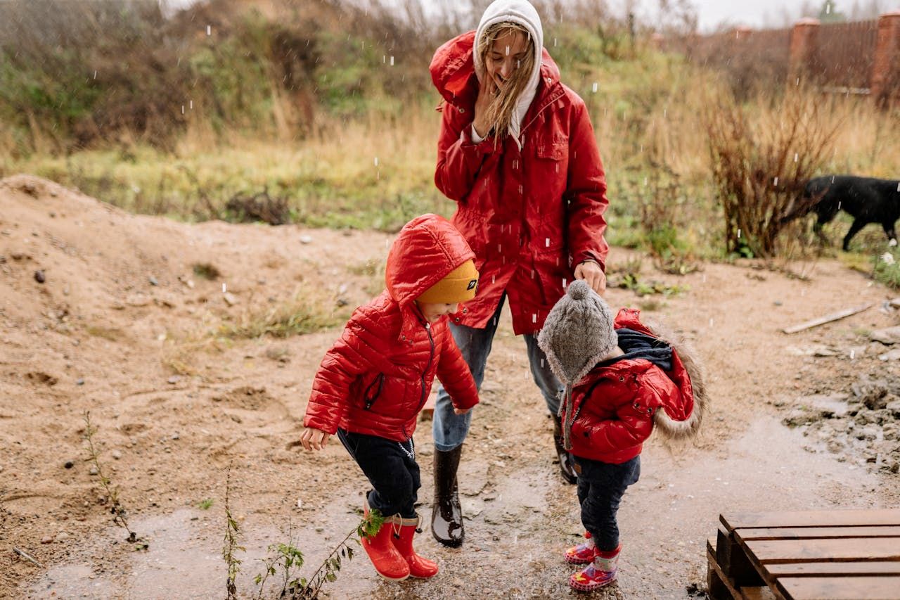 15 activities for a New Forest rainy day