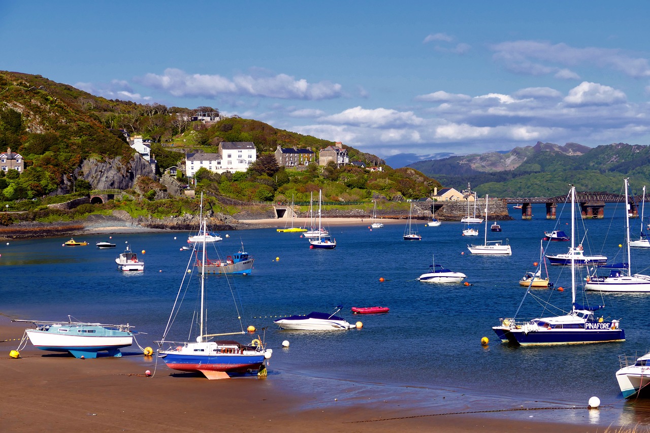 12 best dog-friendly pubs in Barmouth