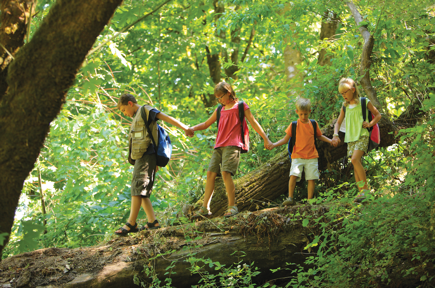 Cornwall wildlife – Take a walk on the wild side of Cornwall