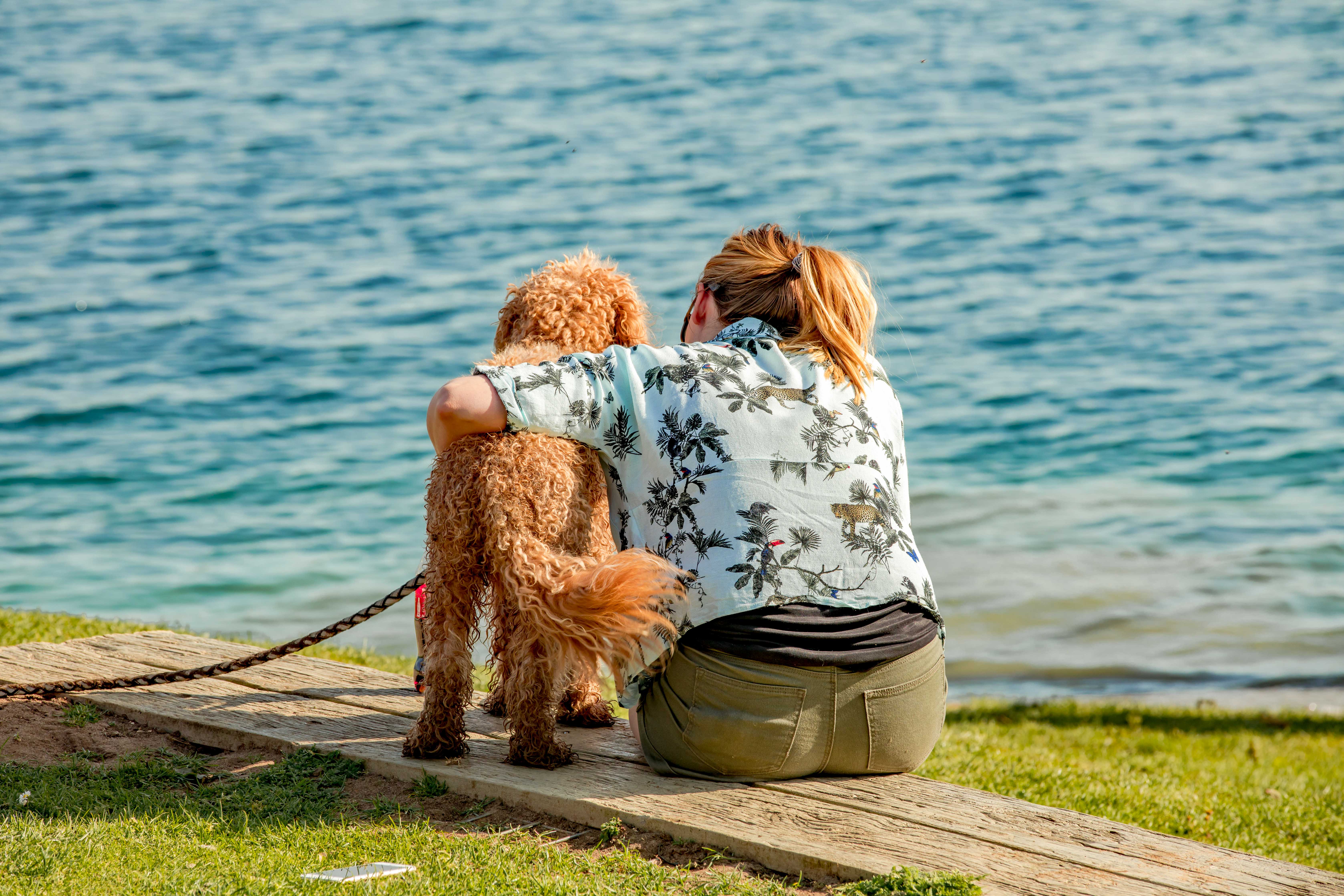 Top Things to Do in Cornwall with Dogs