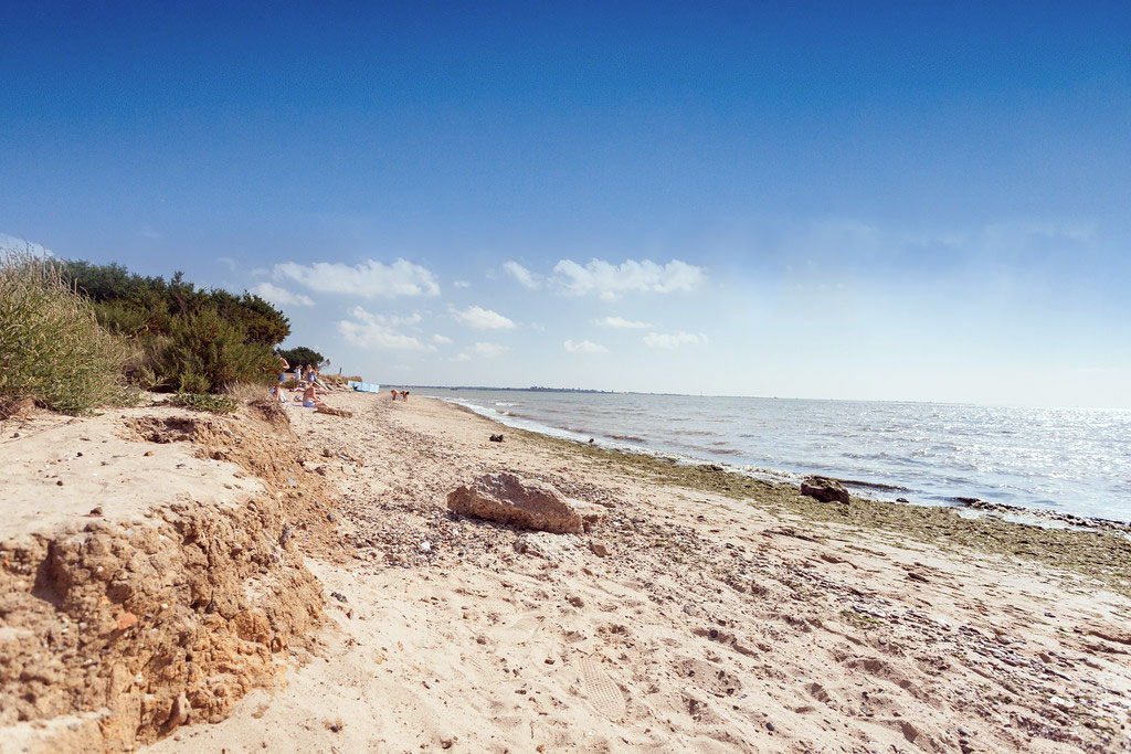 Things to do in Essex