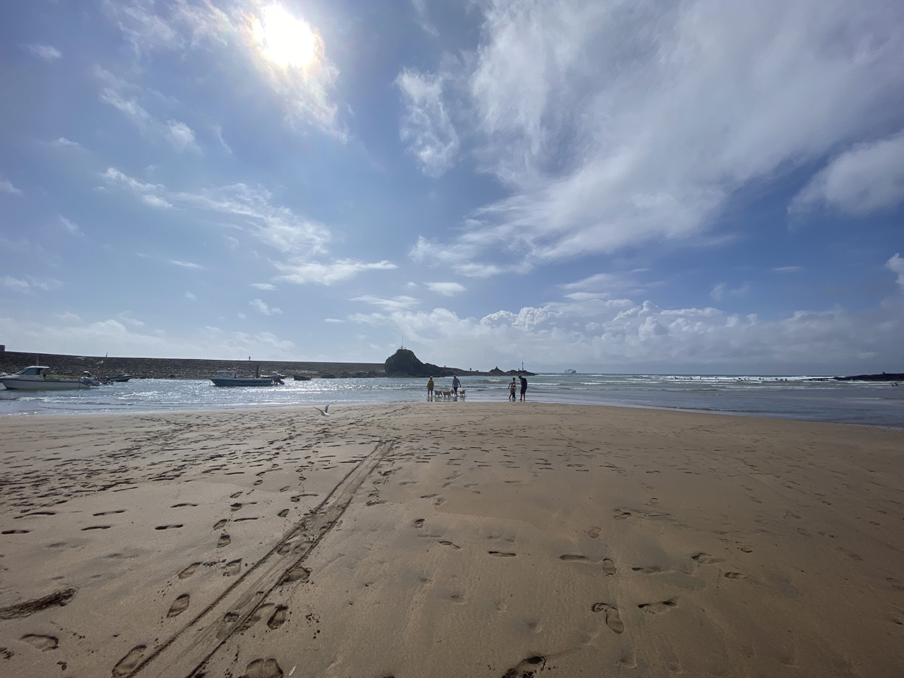 11 dog friendly beaches in Bude, Cornwall