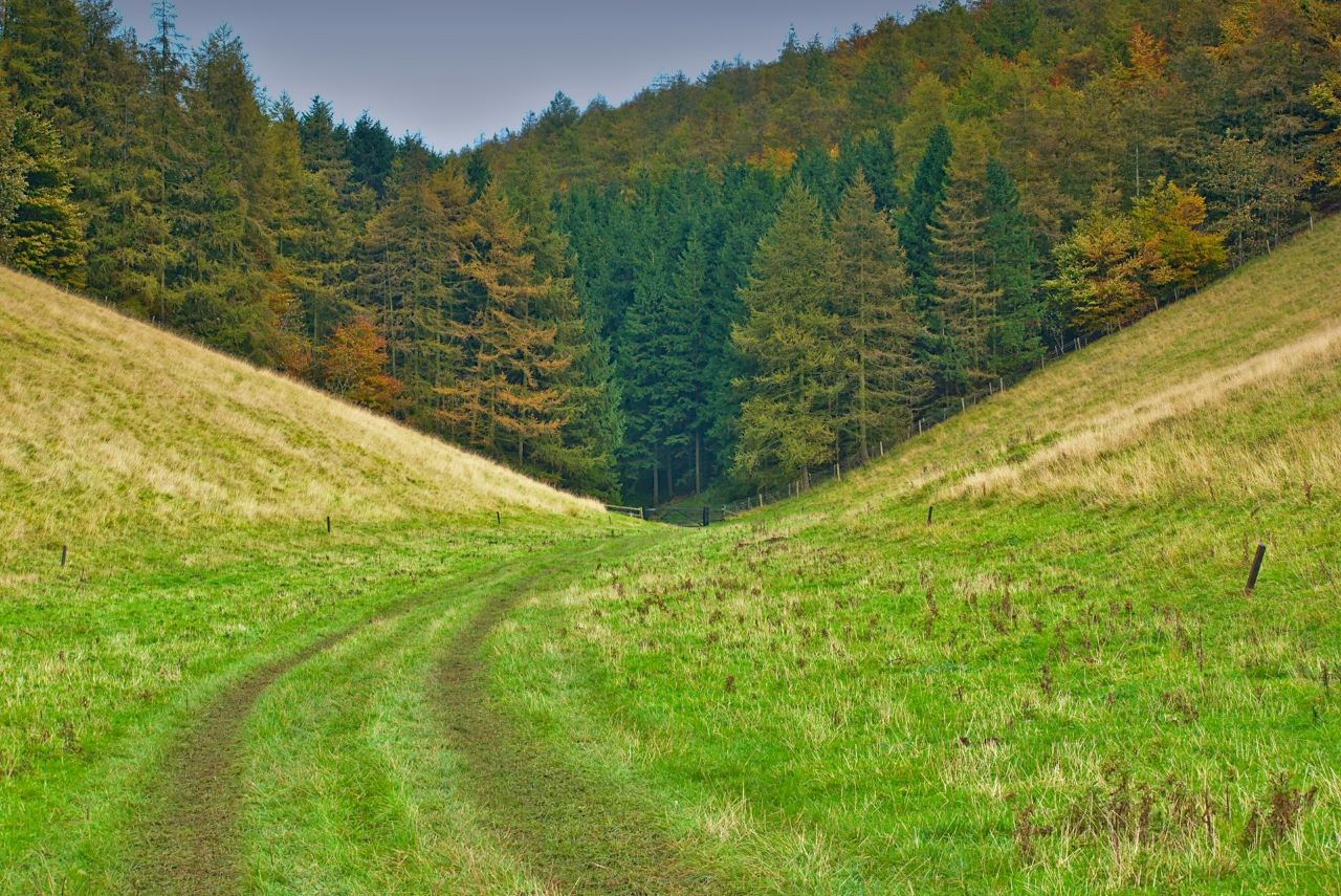 The top 12 walks in Yorkshire