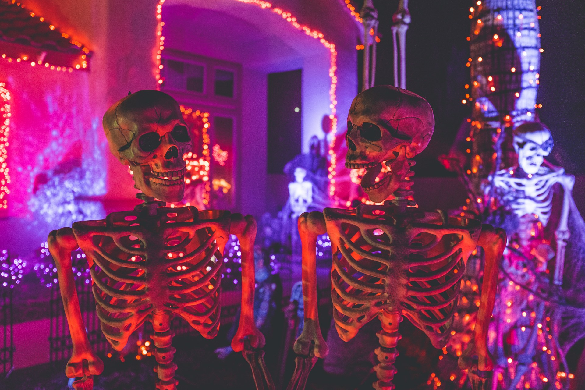 The top 15 Halloween activities to enjoy
