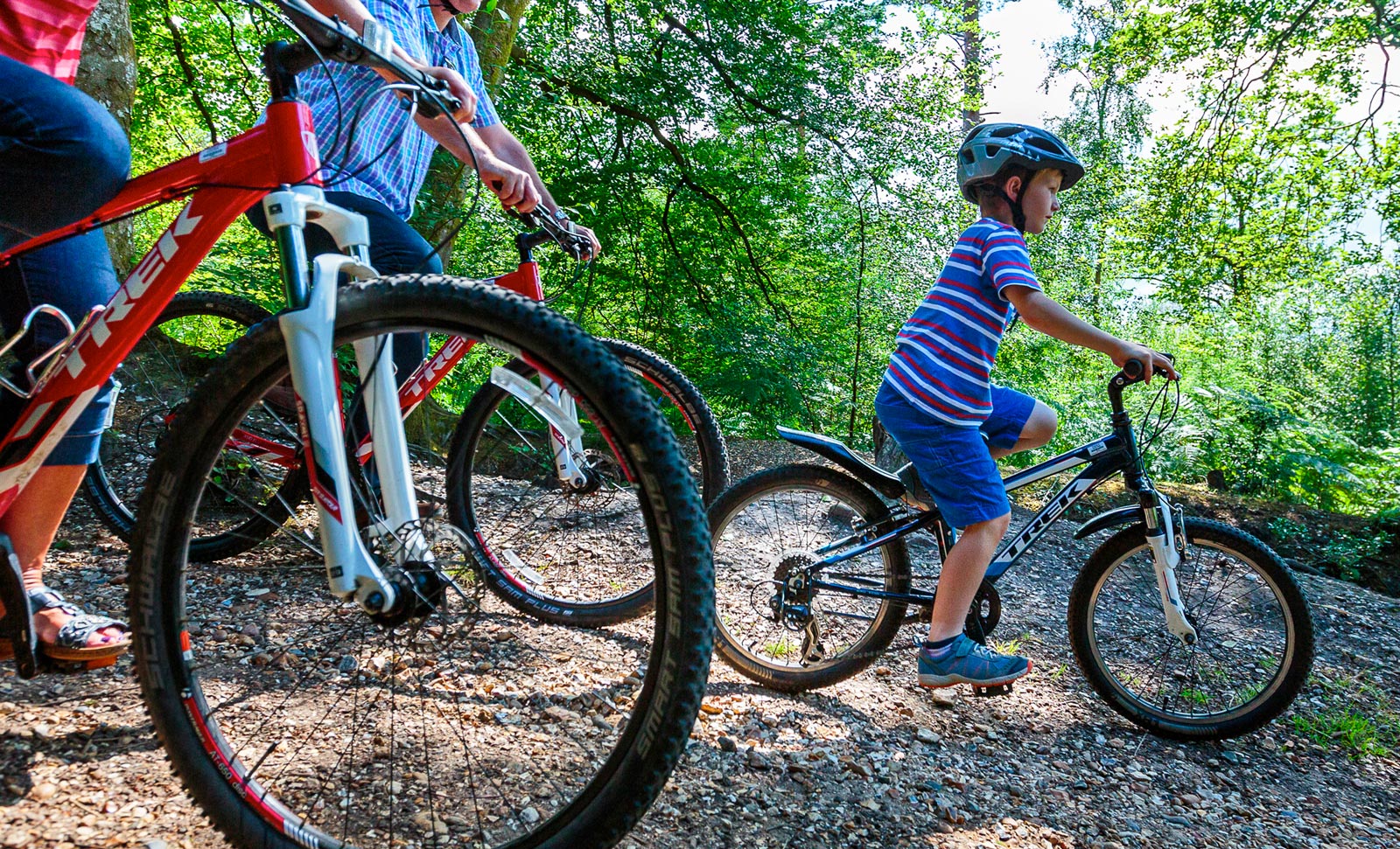 13 New Forest cycle routes you have to try