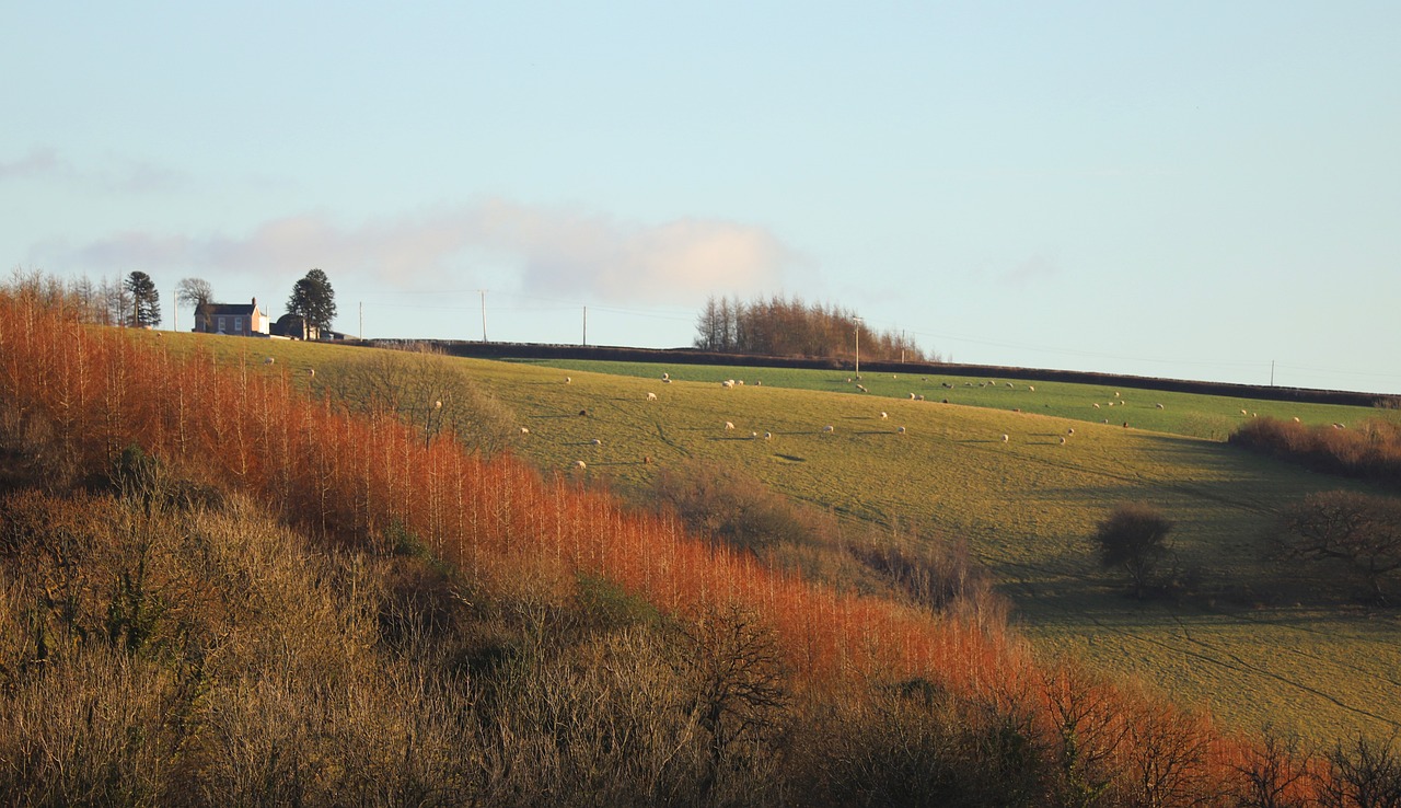 20 of the best walks in Lincoln to try
