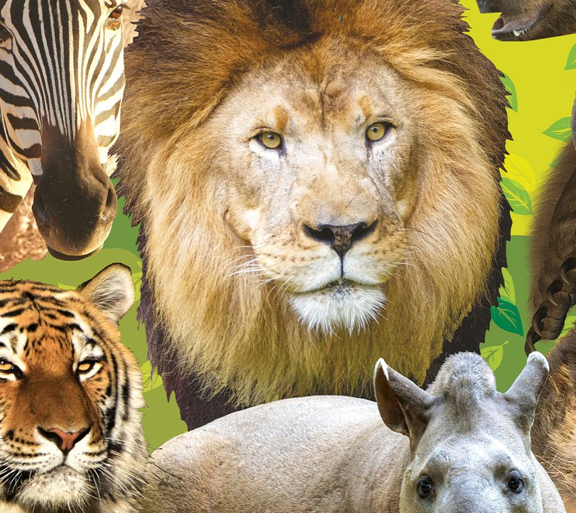 Wolds Wildlife Park image