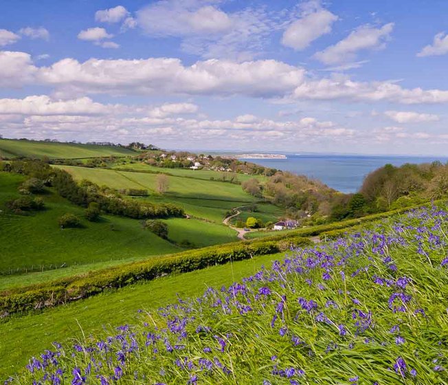 Our St Helens holiday park. There are many amazing hills to explore, with beautiful flowers and green space. It is a bright, sunny day.