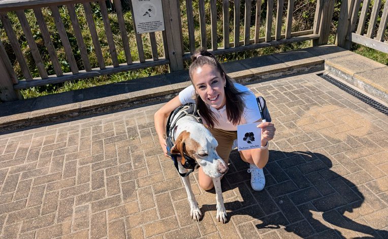 Doggy pawgramme image