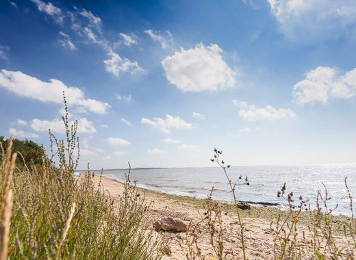 A view of the beach through some long grass at Mersea Island, Essex.