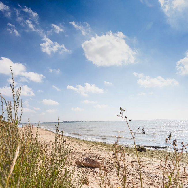 
                A view of the beach through some long grass at Mersea Island, Essex.
                