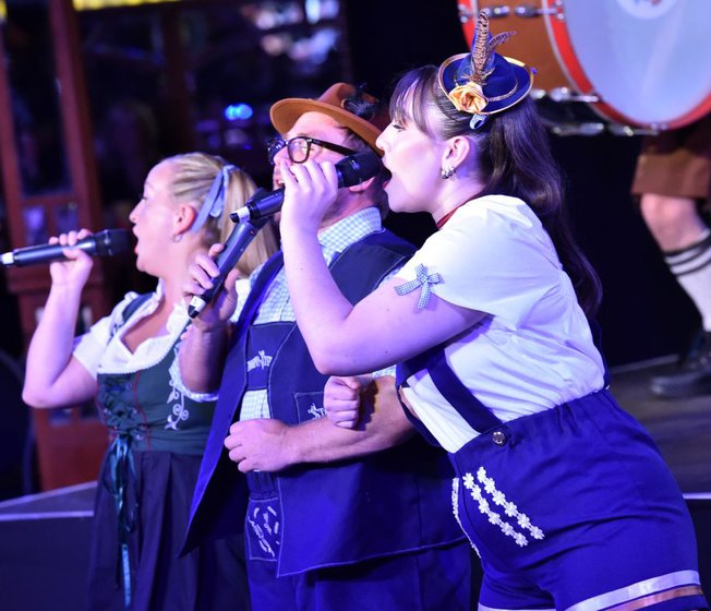 Sing-Alongs image