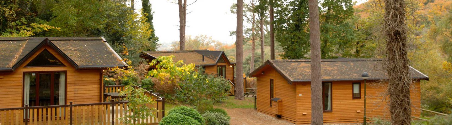
          Three wooden holiday lodges dotted along a natural pathway in a woodland area.
          