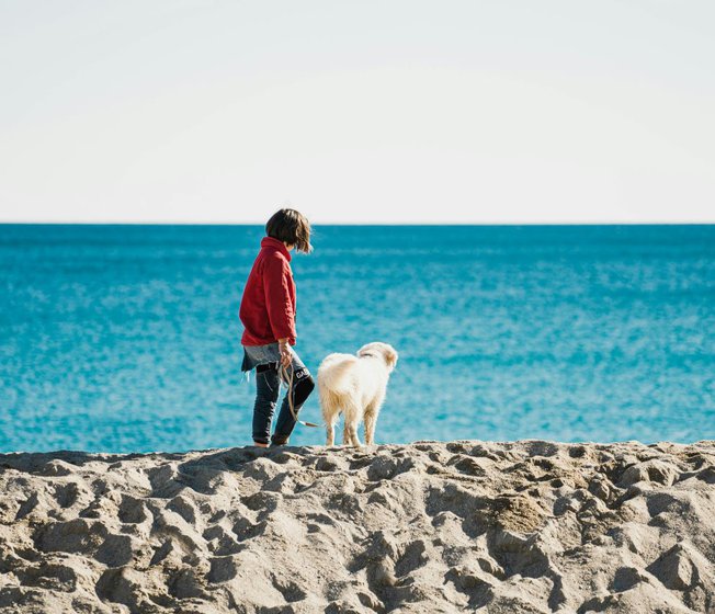 13 Dog Friendly Beaches in Hampshire image