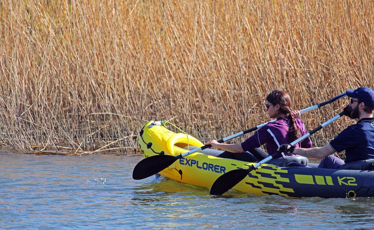 Best Cornwall family attractions and theme parks | Away Resorts