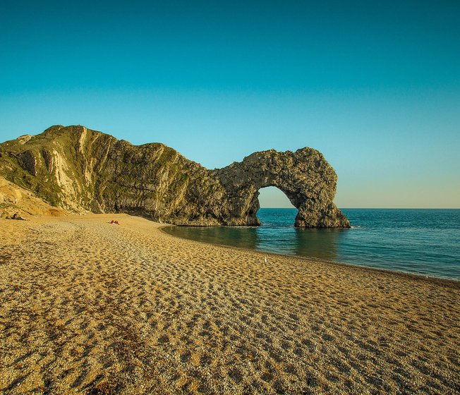 Common Jurassic Coast fossils guide image