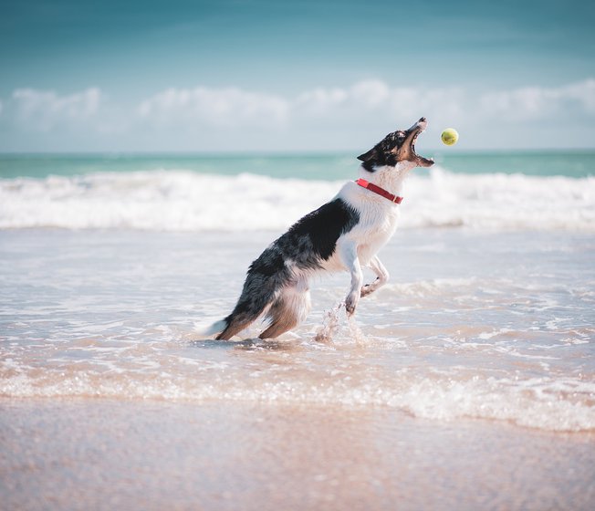 beaches-discover-away-resorts