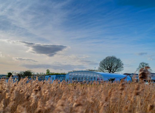 A view of the indoor pool through some long grass.
