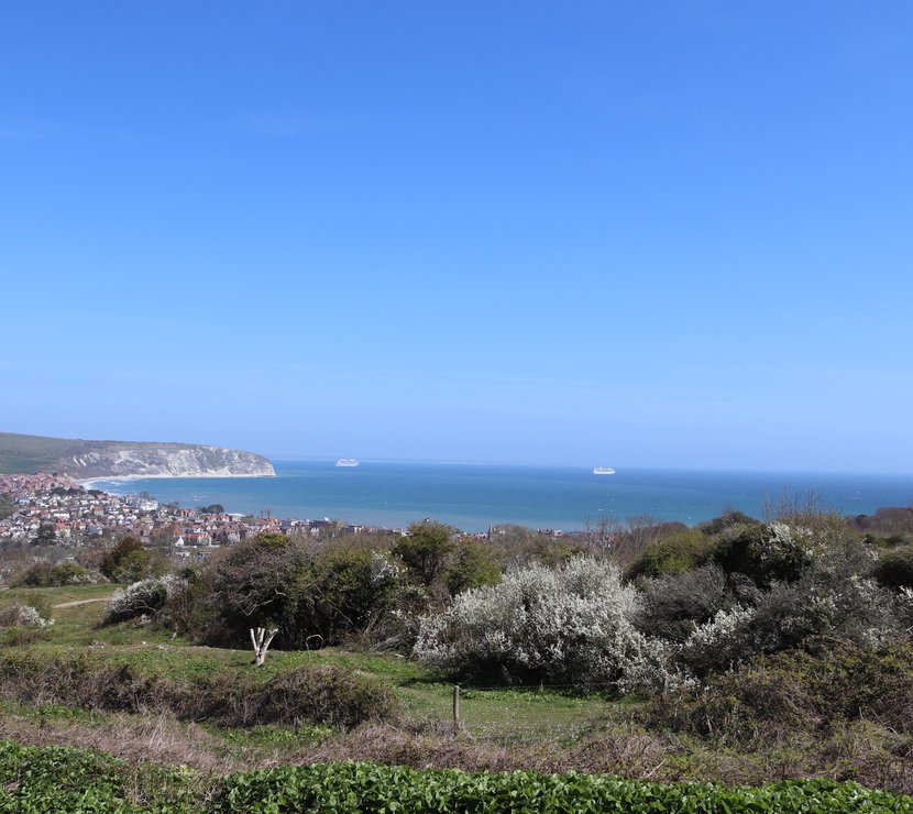 Picturesque coastal walk image