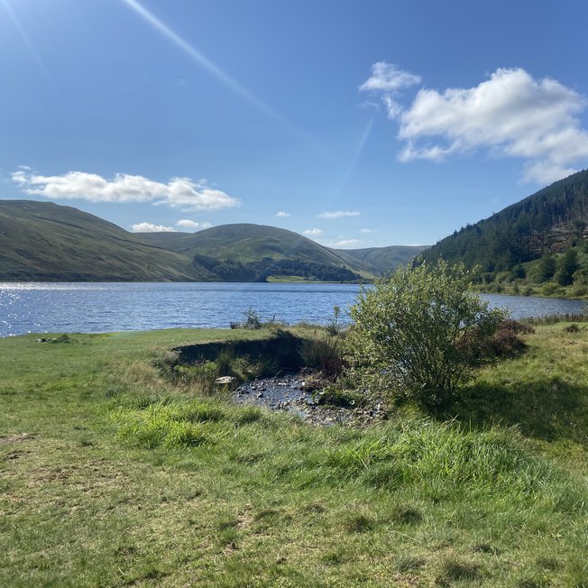Static Caravans & Lodges for Sale in Scotland image
                