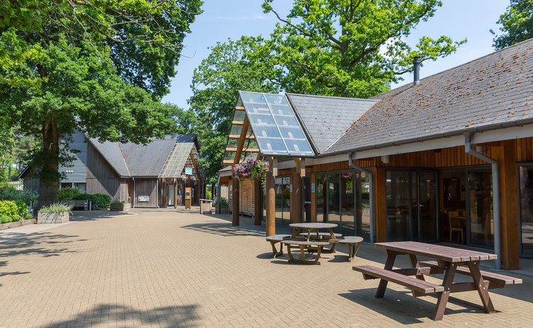 Our fantastic facilities at Sandy Balls on a summers day.