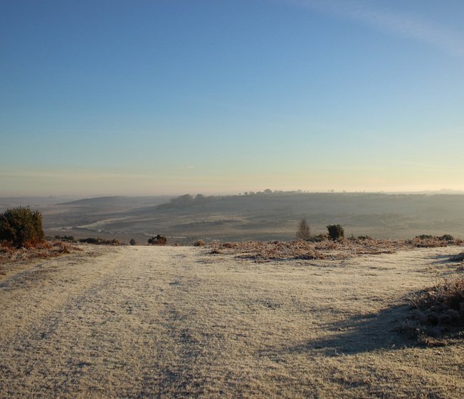 A view of the stunning New Forest on a snowy, winter's day.