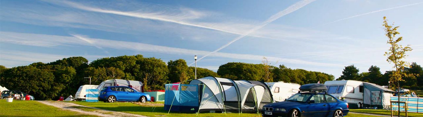 
          A row of pitched tents, caravans and cars are parked up on a grass parking spot on a sunny day.
          