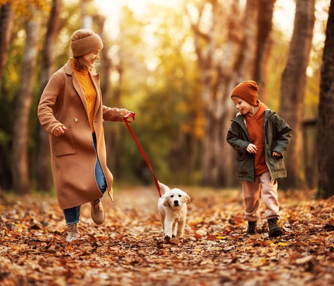 Autumn Breaks image