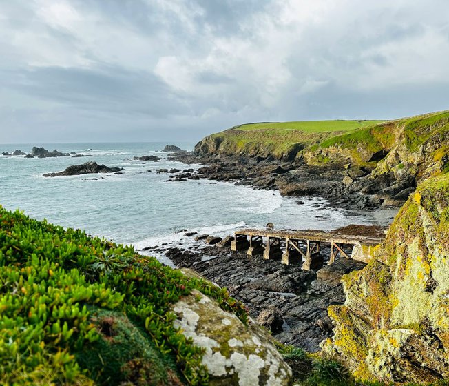 The best guide to Lizard Point image