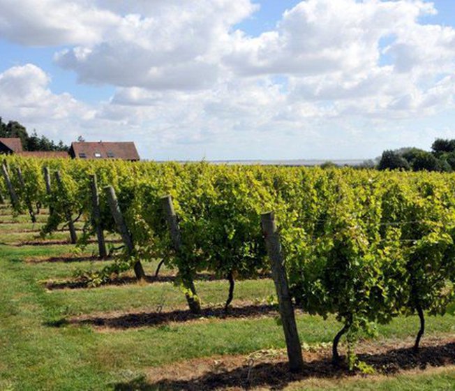 Things to do in Essex image