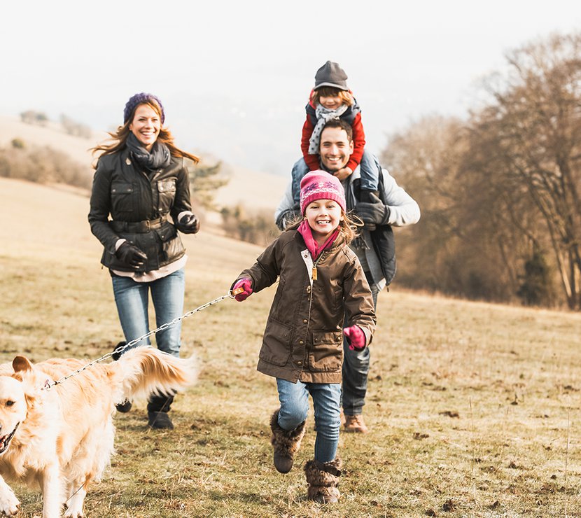 Countryside walks image
