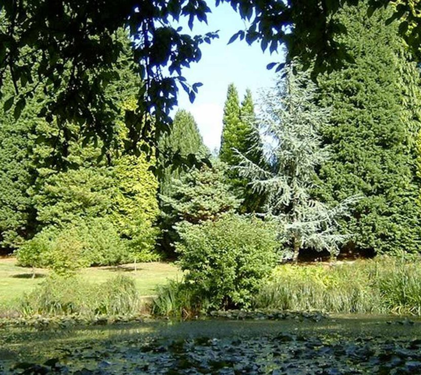 Furzey Gardens image