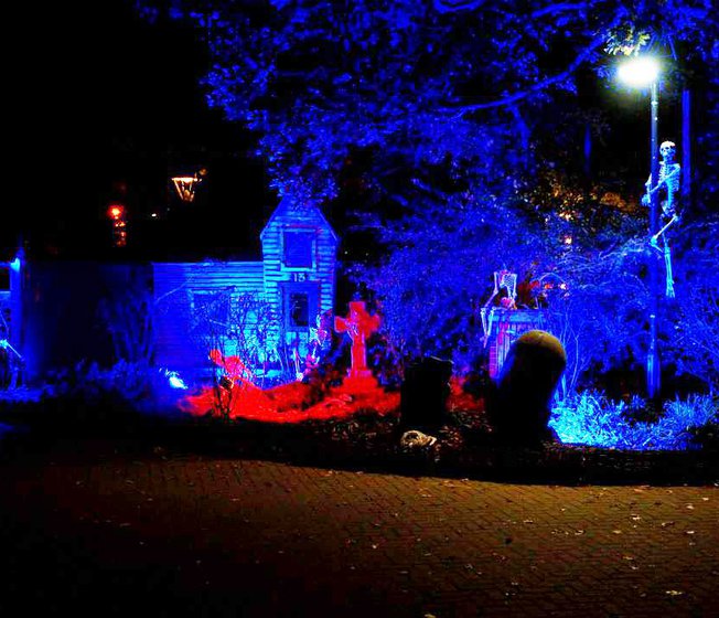 Forest of Light Halloween image