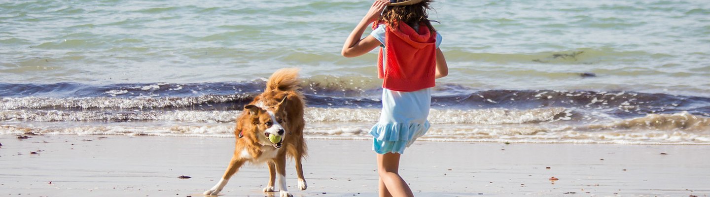 Dog Friendly Caravan Holidays Cornwall | Away Resorts