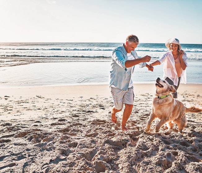 15 Things to do Isle of Wight for Couple image