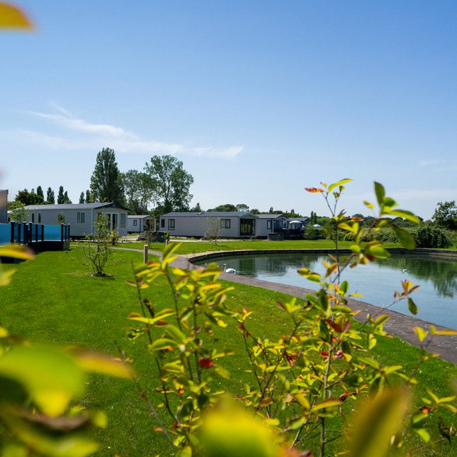 
              A view of our Mill Rythe holiday park.
              
